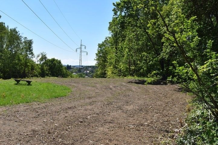 240514_louka_borsky_park_03