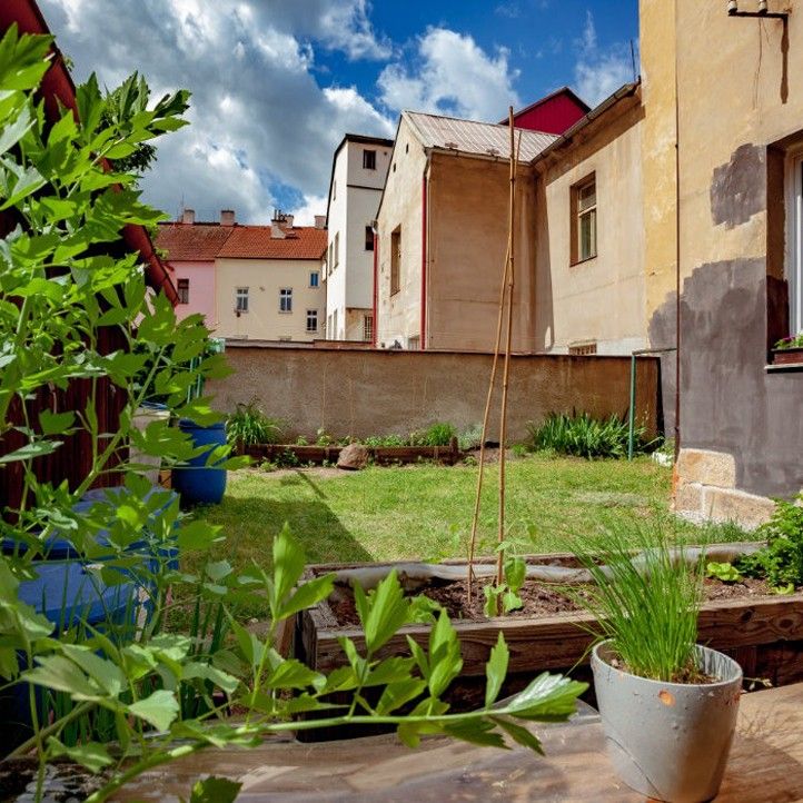 Ilustrační fotografie (zdroj: Nadace 700 let města Plzně) 240516_Dvorky_2