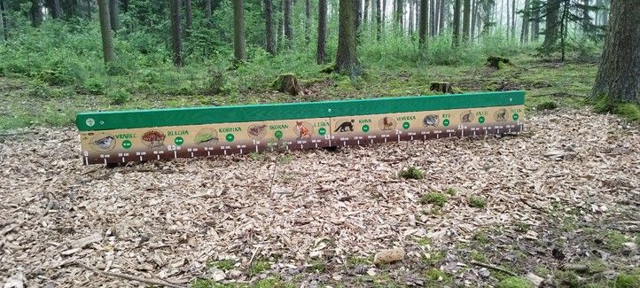 Zdroj fotografií: kancelář náměstka A. Tolara 240613_Stezka_po_stopach_zvere_2