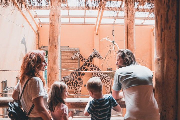 Zoo Plzeň 240626_Zoo_Turismus