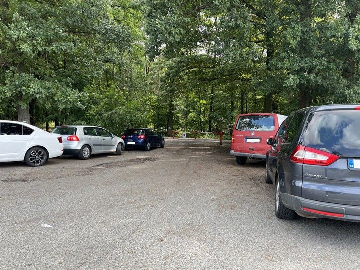 Zdroj fotografií: Správa veřejného statku města Plzně 240726_Les_parkovani_auta