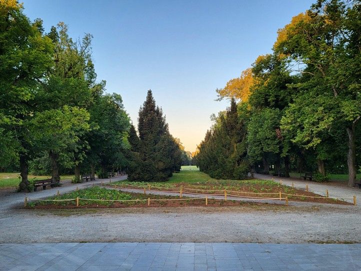 240815_Trvalky_kvetiny_3