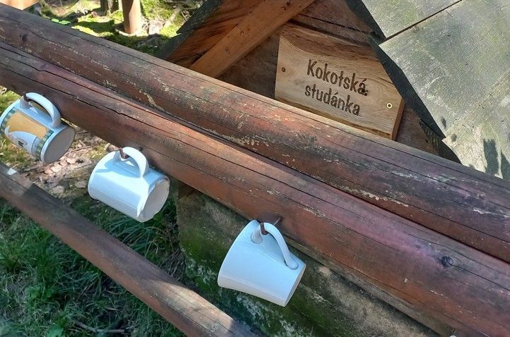 Zdroj fotografií: Správa veřejného statku města Plzně 240819_Studanka_Kokotská