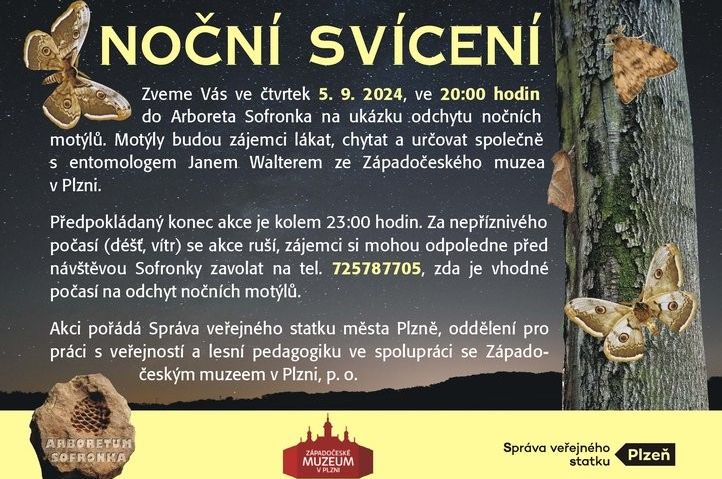 240903_motyly_sofronka_plakatek