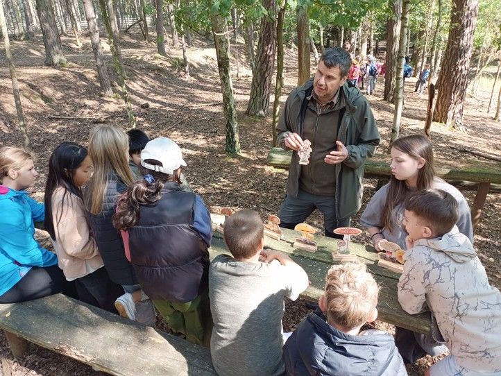 Zdroj fotografií: Správa veřejného statku města Plzně 240924_Den_lesa_3