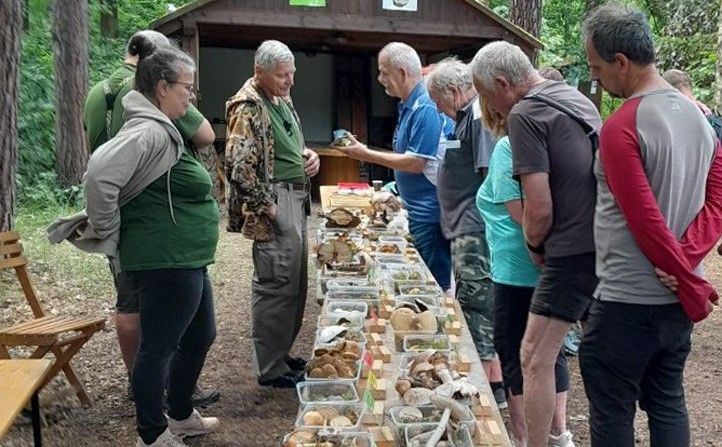 240925_Sofronka_Houby