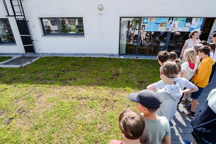 Zelená střecha na škole v Černicích (ilustrační fotografie) 250210_Zelena_strecha_MS_1