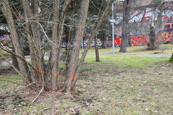 Fotografie: R. Žáková 250310_Lochotinsky_park_1