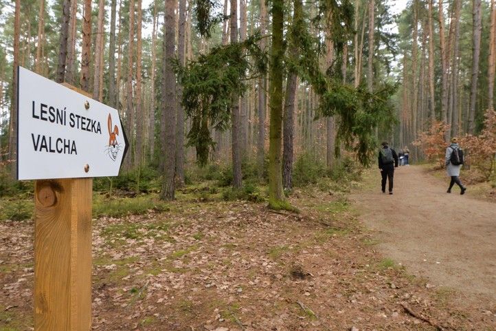 250328_Lesni_stezka_Valcha_deti_3