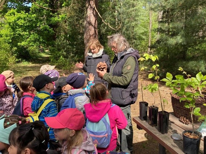 Zdroj fotografií: Správa veřejného statku města Plzně 250516_Den_lesa_Sofronka_4