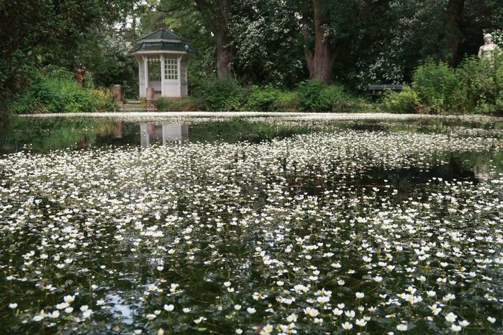 250523_Plzen_zahrady_1