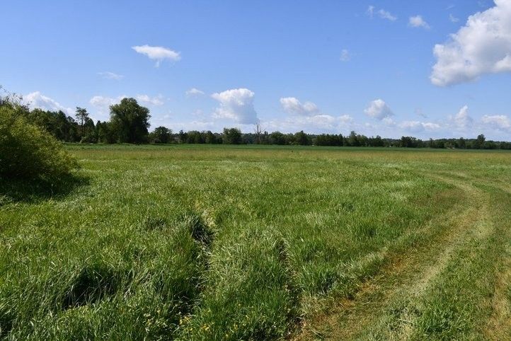 250605_cyklostezka_mze_01