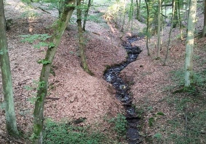 250806_Vodni_Nadrz_Zabela_05