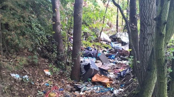 Lokalita před vyklizením. Fotografie: archiv ÚMO 5 250905_PredatorPark_03