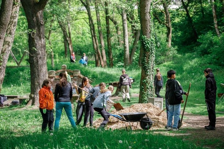 250929_Les_uklid_17_zs_2