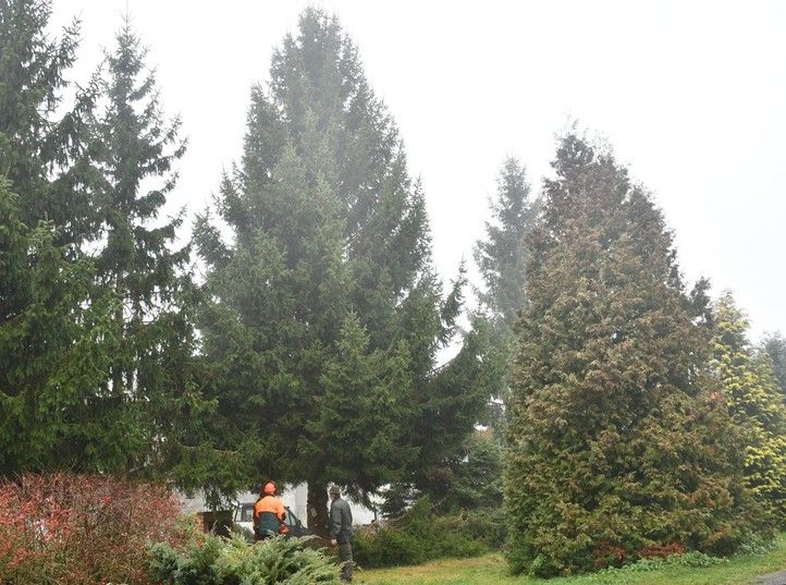 251112_Vanocni_strom_svoz_4