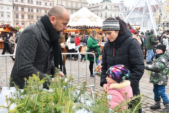 251201_Sazenice_stromecek_1