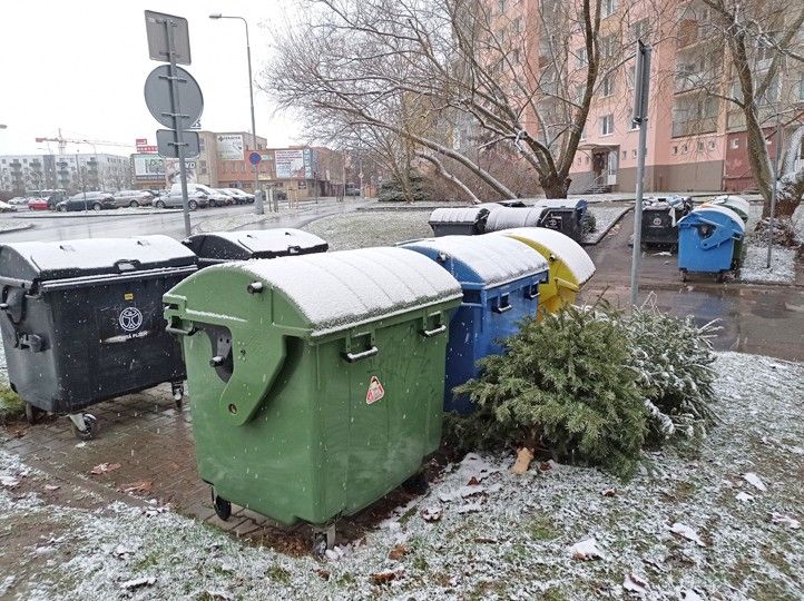 Ilustrační foto 260107_Vanocni_strom_svoz