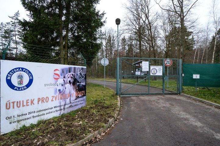 Ilustrační foto: M. Pecuch 260127_Utulek_psi_kocky_zvirata_1