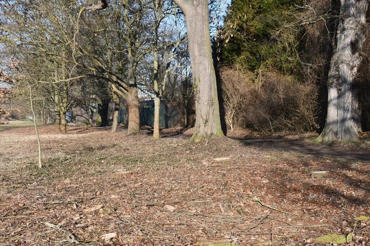 Fotografie: R. Žáková 260313_Stromy_Kilometrovka_4