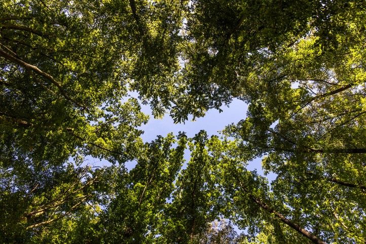 260319_Milan_Sekac_les_1