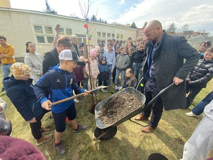 260330_Sezeni_stromu_3