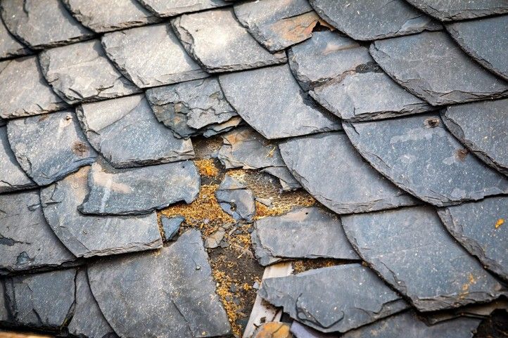 Zdroj fotografií: Diecéze plzeňská 260723_Katedrala_strecha_dieceze_4